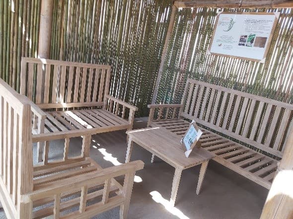 bamboo activity