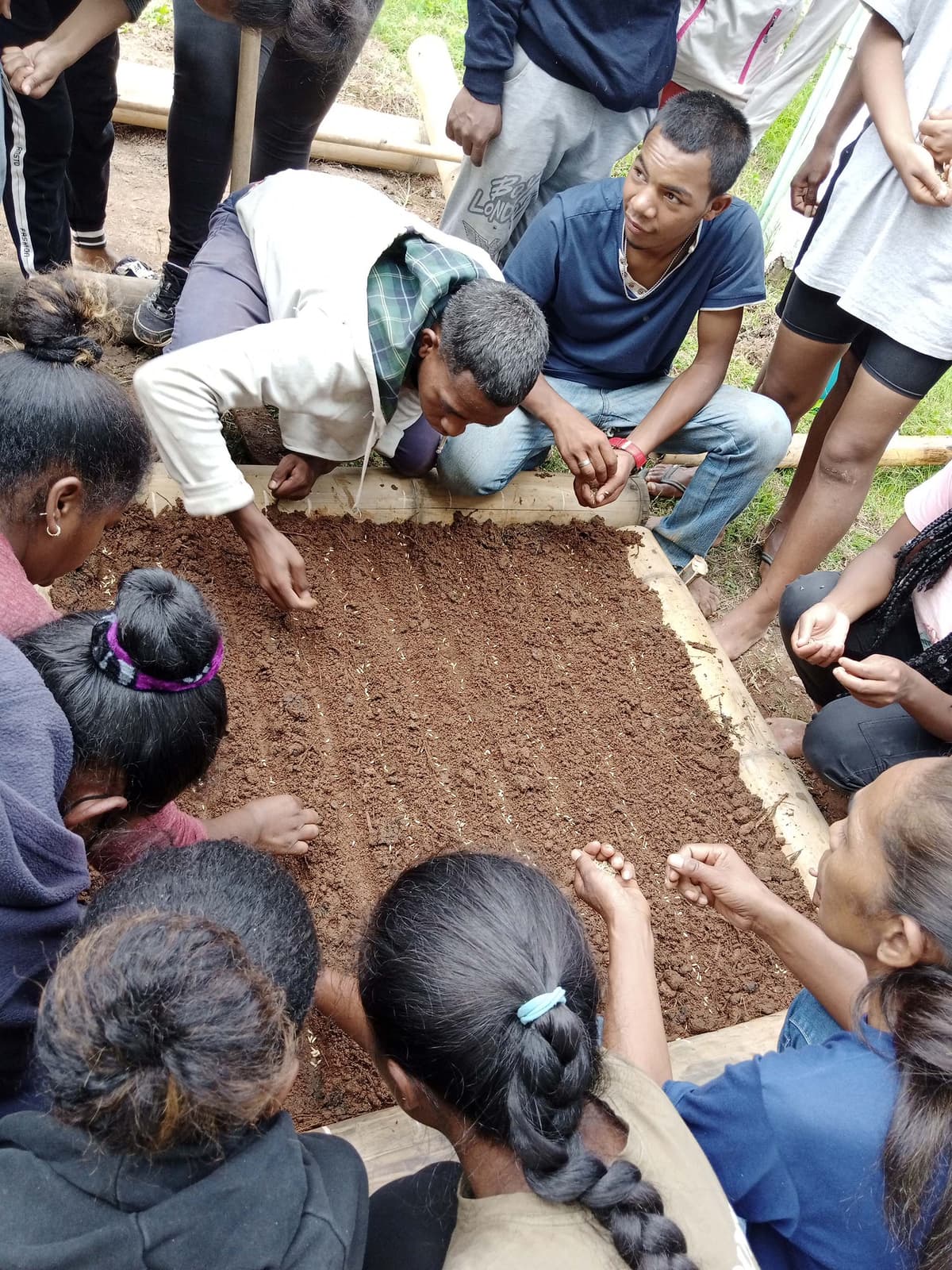 bamboo activity