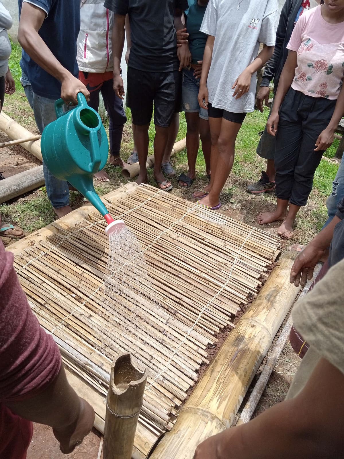 bamboo activity